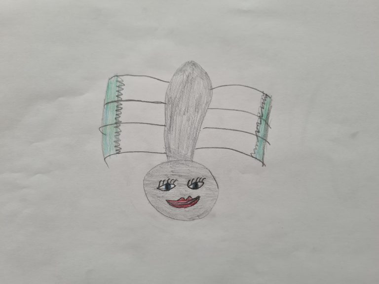 Die schwimmende Spinne