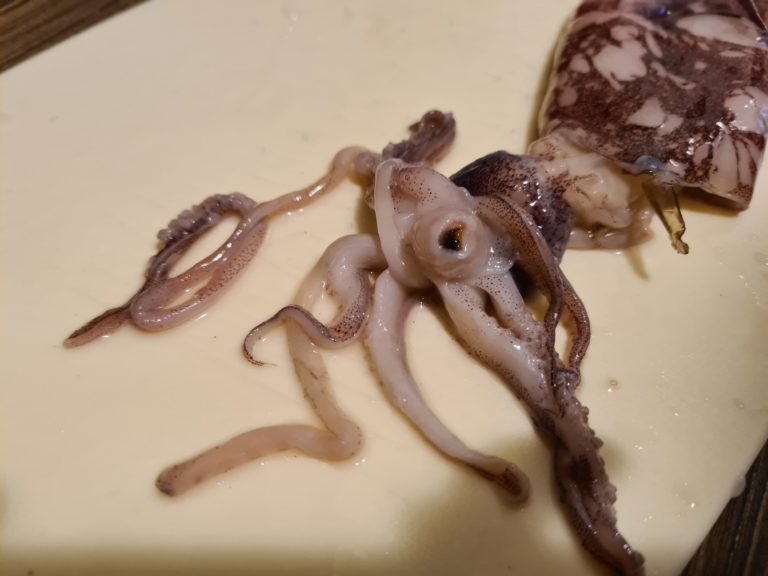 Video: Frische Kalmare putzen