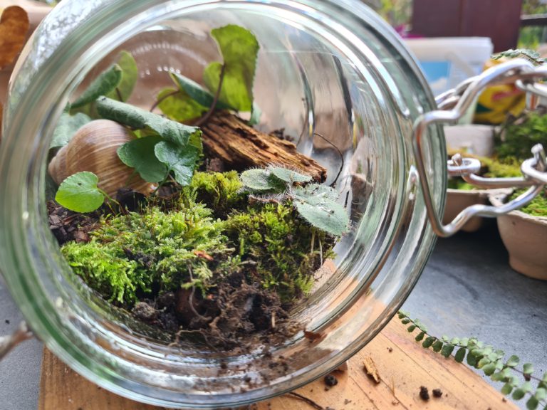 Bauanleitung: Ewiges Terrarium