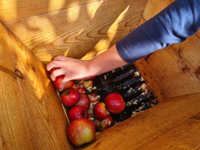 Anleitung: Apfelsaft pressen