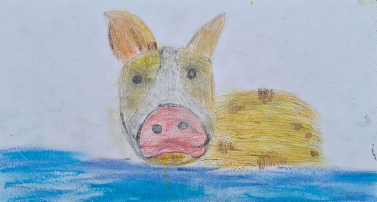 Der Küsten-Sand-Schweine-Schreck