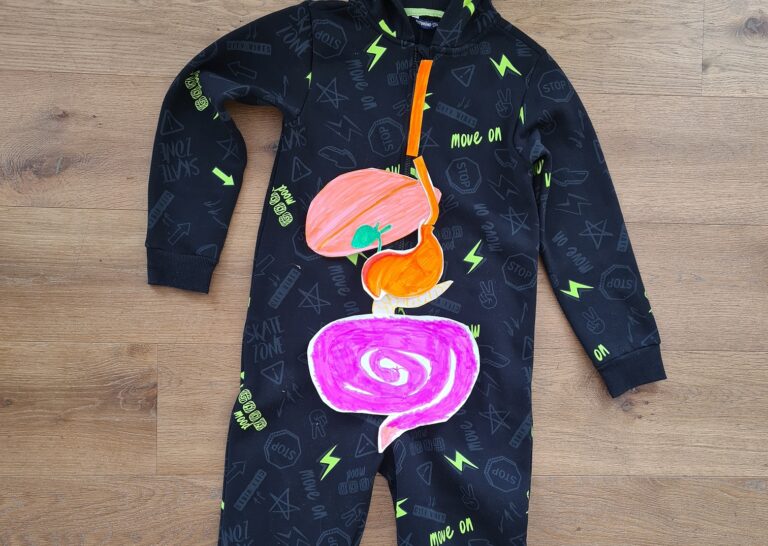 Mensch: Verdauungssystem