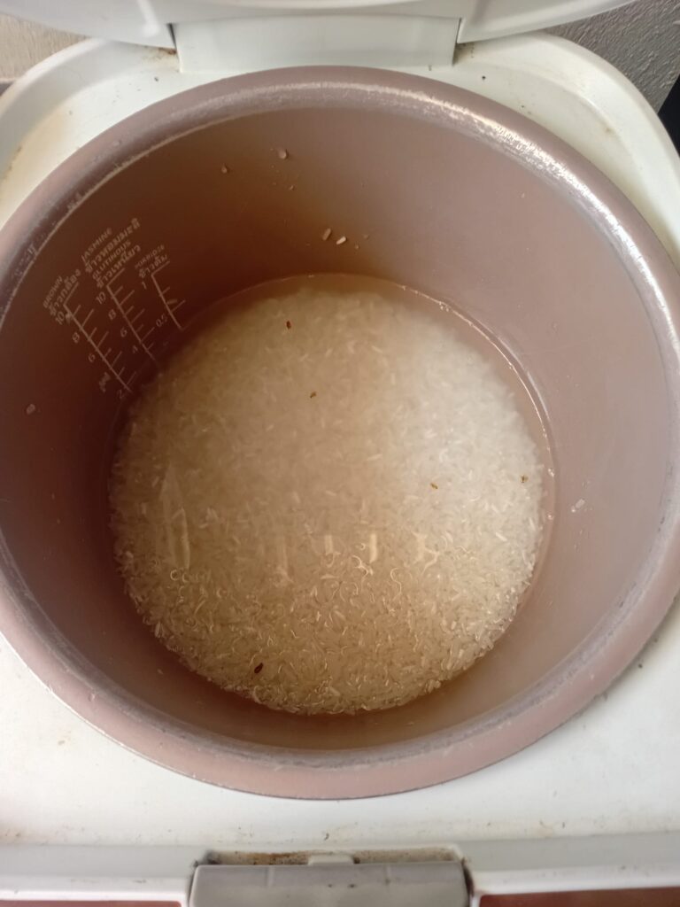 Reis für Kra Pau Nuer im Reiskocher kochen