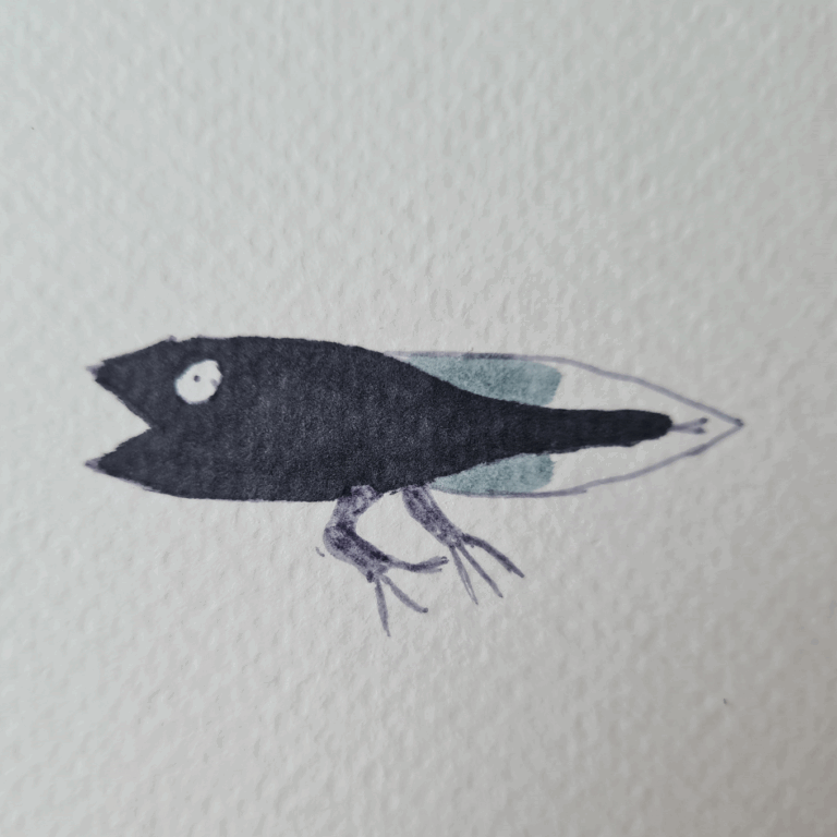 Erdkröten Metamorphose