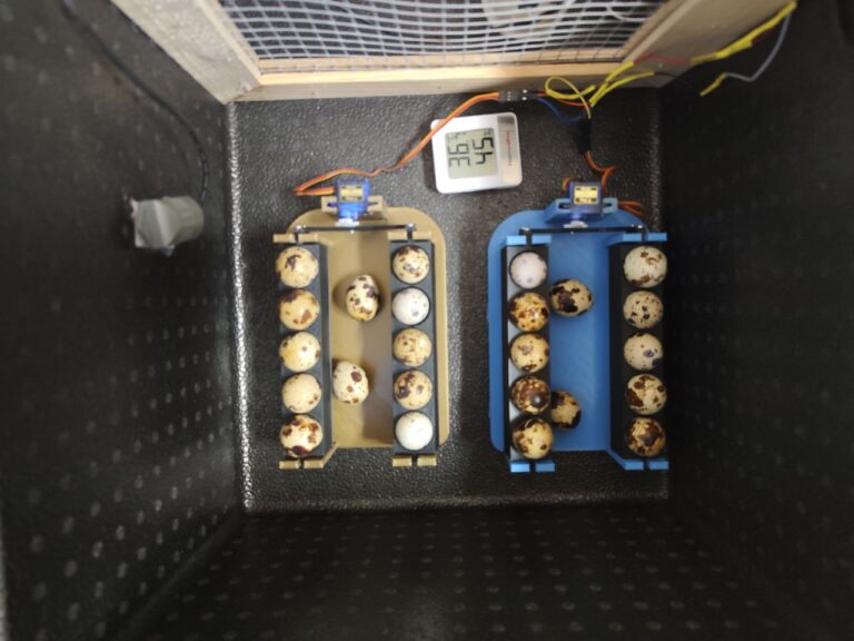 Anleitung: Wie züchte ich Wachteln?